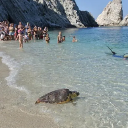 Sole A Catinelle * Numana